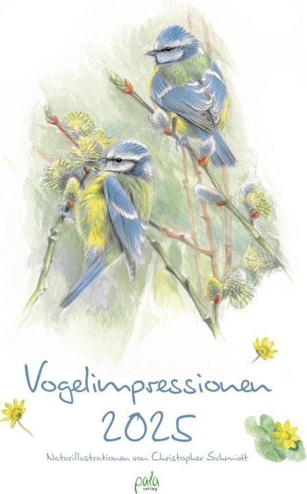 Produktbild Vogelimpressionen 2025 (Harter Einband, Deutsch)