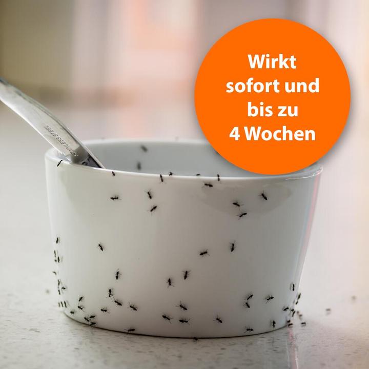 Actual product image Ardap Ant spray Zerst. (500 ml)