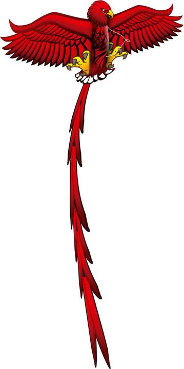 Actual product image Eolo Kites Ready 2 Fly - Pop-up 3D Kite Eagle
