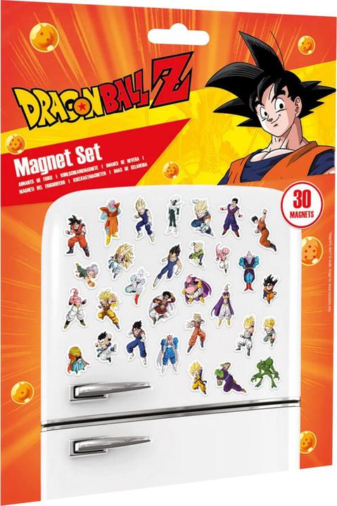 Actual product image Dragon Ball Z Characters Fridge Magnet Set (1 x)