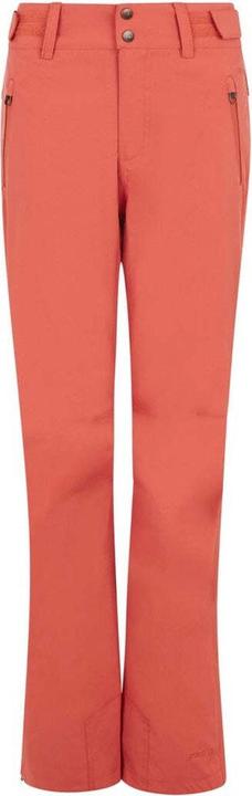 Image du produit Protest CINNAMON snowpants (XS)