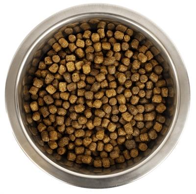 Actual product image Yourdog Dwerg- Of Toypoedel Pup (Junior, 1 pcs., 12150 g)