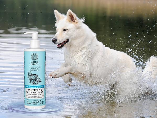 Produktbild Wilda Siberica Spülung WHITENING, 5 l (5000 ml)