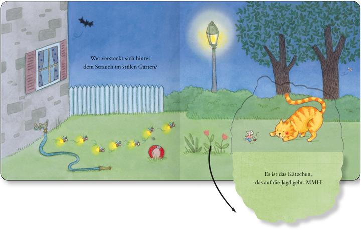 Actual product image Quietly through the night - A cardboard picture book with lots of flaps (German)