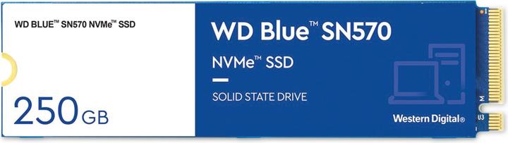Actual product image WD Blue SN570 (250 GB, M.2 2280)