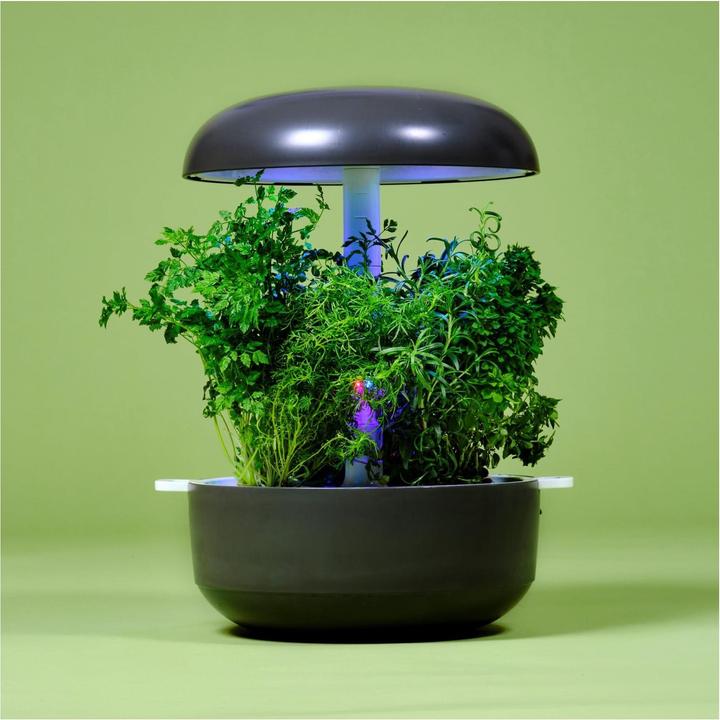 Produktbild Plantui Smart Garden 6 (29 cm)