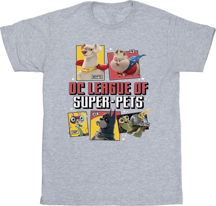 Actual product image Boys DC League Of Super-Pets Profile T-Shirt (104)