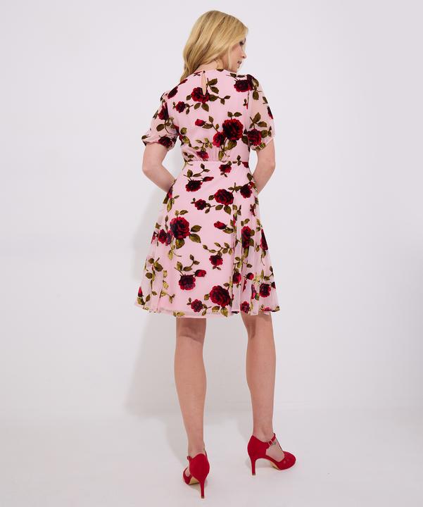 Produktbild Joe Browns Vintage Inspired Devore Rose Mini Dress (16)