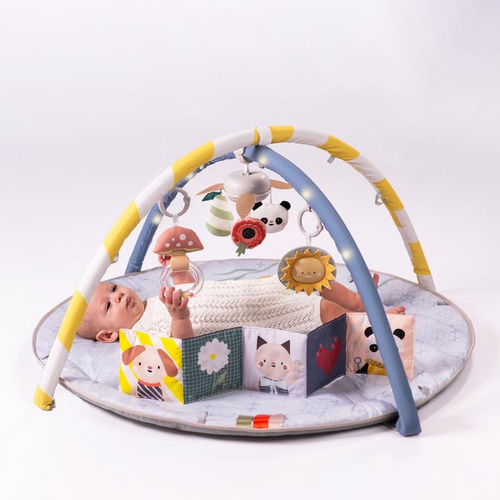 Produktbild Taf Toys Melody Bloom