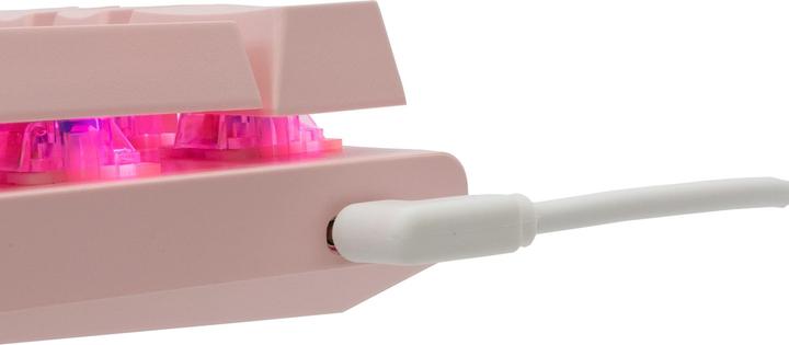 Actual product image Shark GK-002421 Wakizashi Pink US Blue Switches (US, Cable)