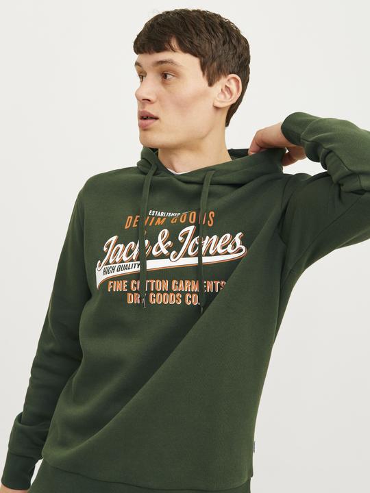 Produktbild Jack & Jones JJELOGO SWEAT HOOD 2 COL 24/25 NOOS (M)