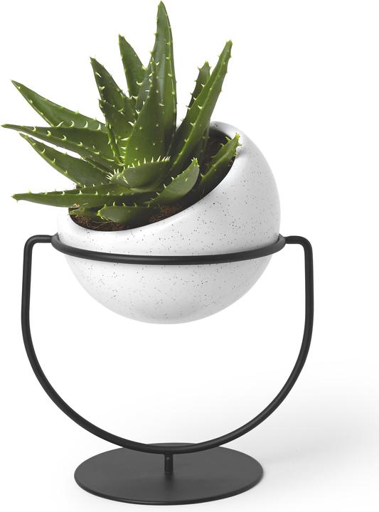 Actual product image Umbra Nesta (17 cm)