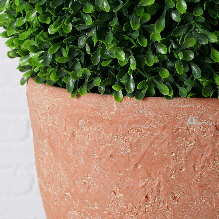 Actual product image Boltze Home Boxwood (39 cm)