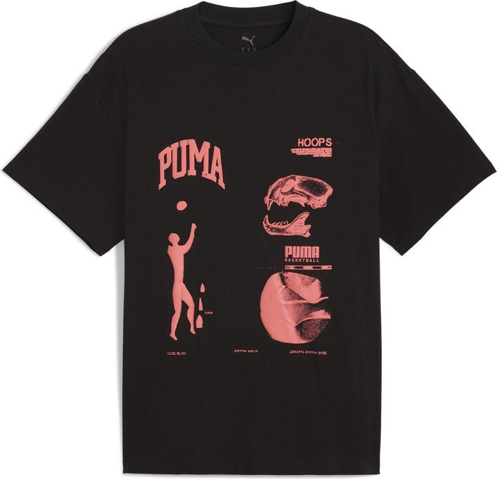 Puma Excavation