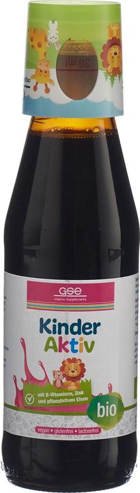 Immagine prodotto GSE Complesso attivo per bambini Bio liq (1 Pezzo/i, Liquido, 592 g)