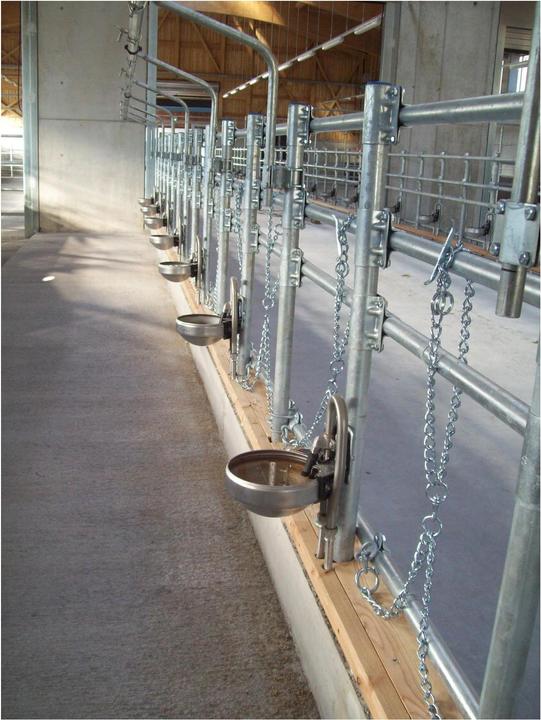 Immagine prodotto Suevia Beverino mod. 1200 con valvola in acciaio inox