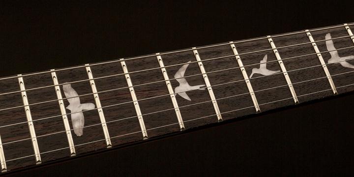 Image du produit PRS SE Santana (Guitare électrique, Palissandre, acajou, érable)