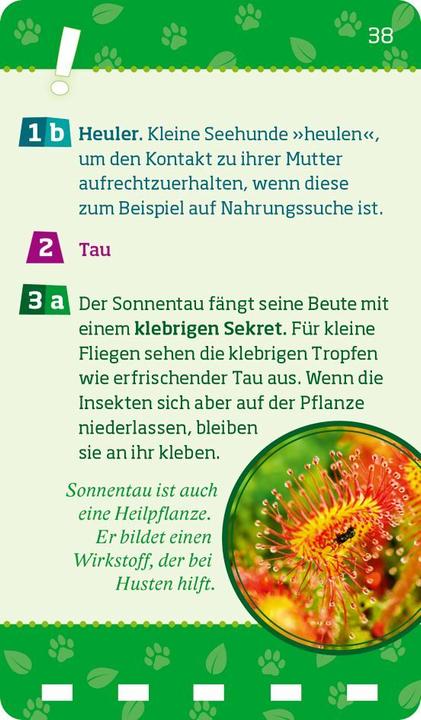 Actual product image Tessloff WAS IST WAS Quiz Natur und Tiere (German, Tessloff Verlag Ragnar Tessloff GmbH & Co.KG, 2024)
