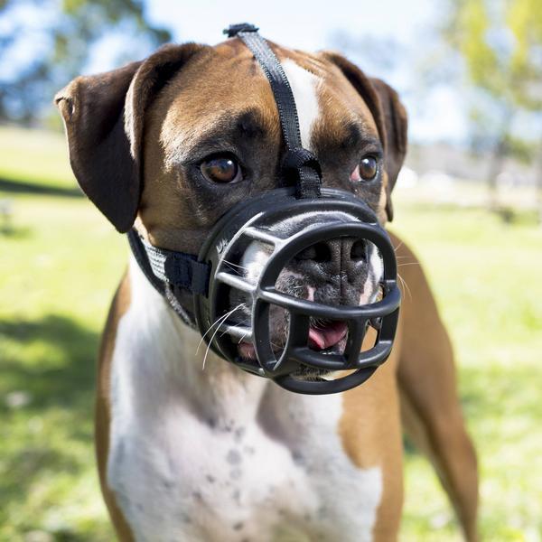 Produktbild Company of Animals Ultra-Maulkorb Baskerville (3, Hund, Allgemein)