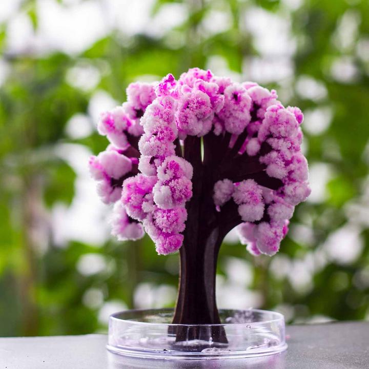 Produktbild Mad Monkey Magic Sakura (13.50 cm)