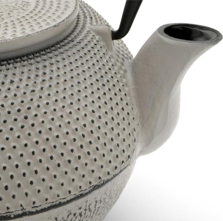 Actual product image Bredemeijer Jang (1.10 l)