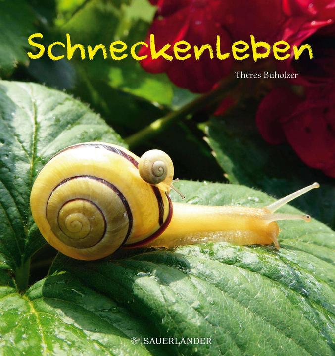 Produktbild Schneckenleben (Deutsch, Theres Buholzer, 2019)