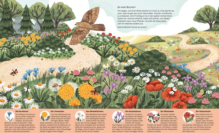 Produktbild Kleine Geheimnisse der Natur - Wald und Wiese (Deutsch, Stütze & Vorbach, Kaja Kajfež, 2022)