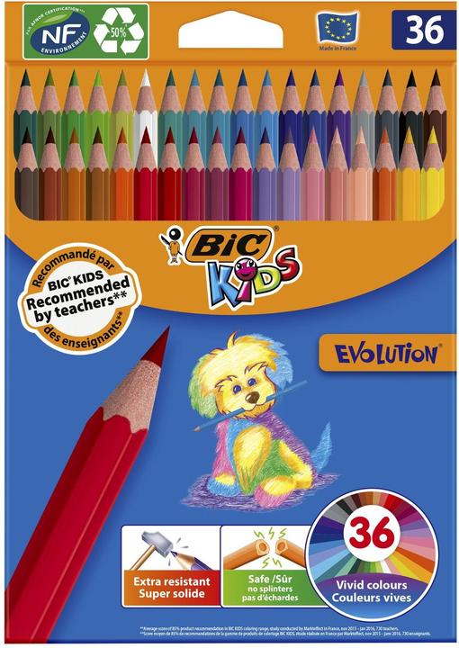 Actual product image Bic Kids Ecolution Evolution Kleurpotloden, 36st. (Multicoloured, 36 x)