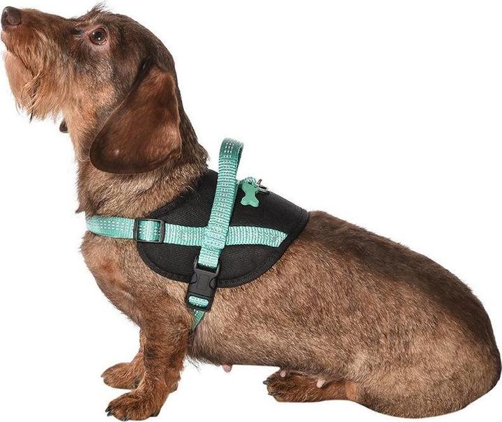 Image du produit Bobby Easy Safe (M, Chien, Sport canin)