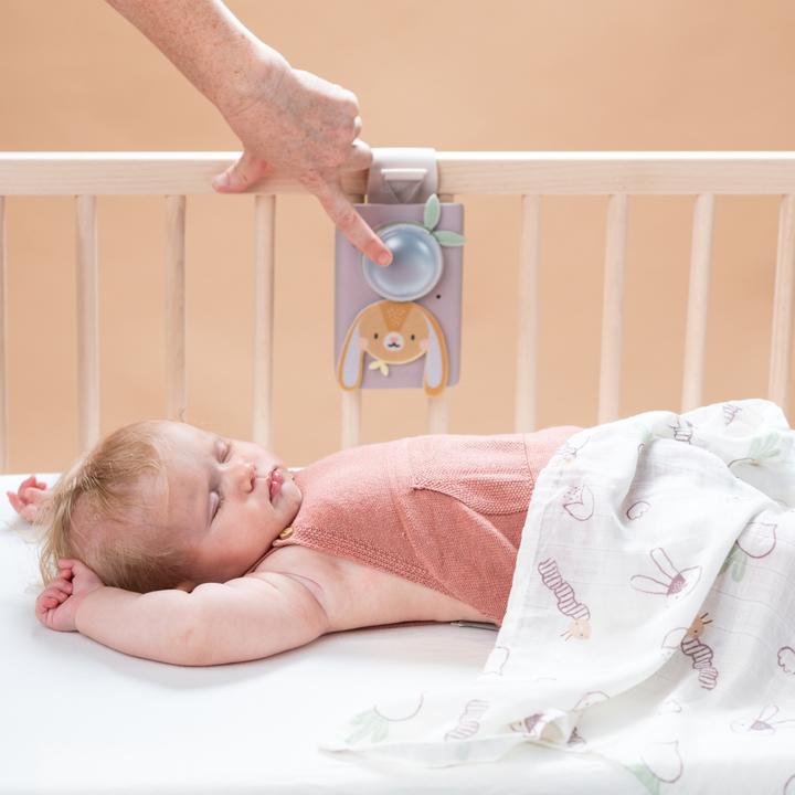 Produktbild Taf Toys Beruhigendes Babyset Hase