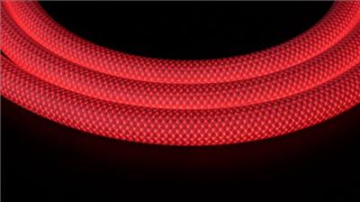 Actual product image EB Troller LED-Lichtschlauch neon-net 24VDC RGB 19W/m 65lm (500 cm, Indoor, Outdoor)