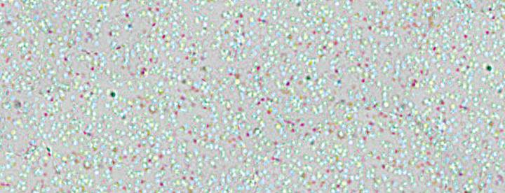 Actual product image Marabu Window Color Fun & Fancy (glitter ice cream, 80 ml)