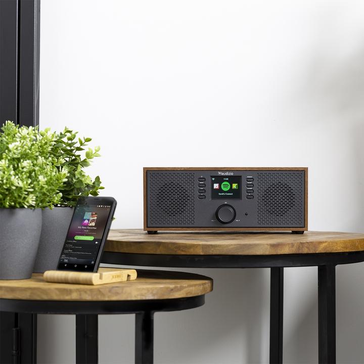 Actual product image Audizio Internet Radio Rimini wood look (Web radio, Bluetooth)