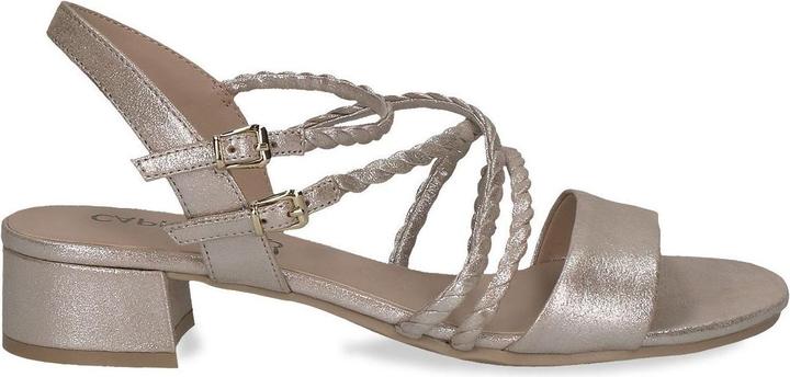 Taupe metallico