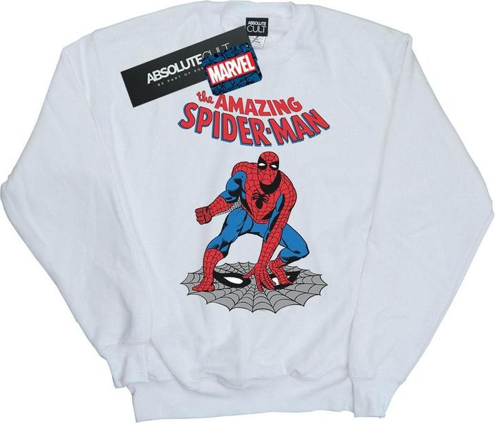 Actual product image Womens/Ladies The Amazing Spider-Man Sweatshirt (XL)