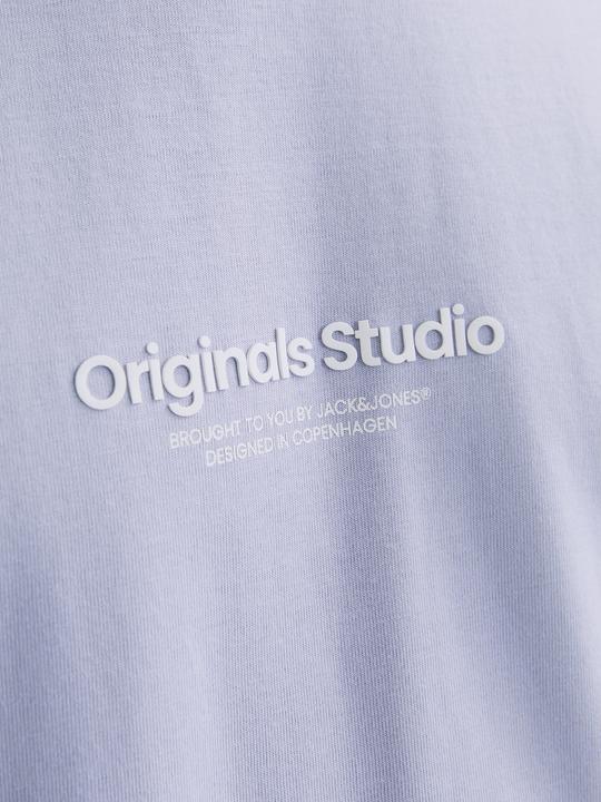 Actual product image Jack & Jones Jorvesterbro Tee Ss Crew Neck Noos (M)