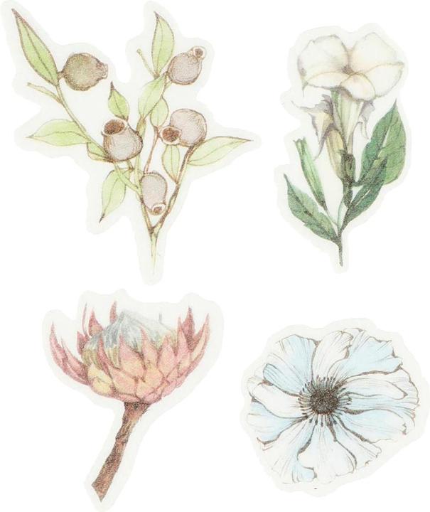 Actual product image Creativ Company Flowers