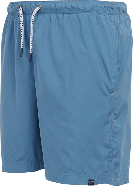 Actual product image Regatta Mens Mackleyna Swim Shorts (S)