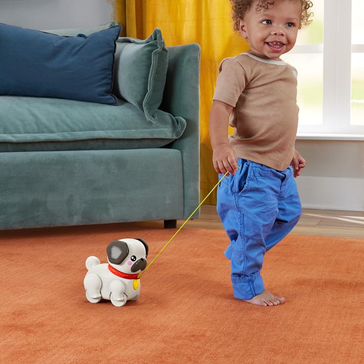 Produktbild Fisher-Price Spiel & Zieh Mops