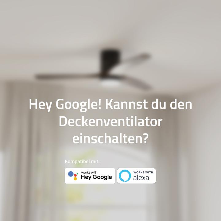 Immagine prodotto Hombli Deckenventilator mit Licht (43 dB)