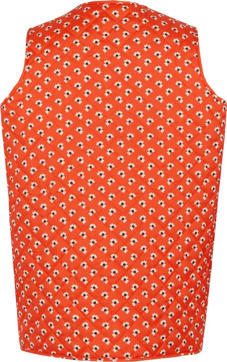 Actual product image Regatta Womens/Ladies Orla Kiely Clover Quilted Gilet (36 D)