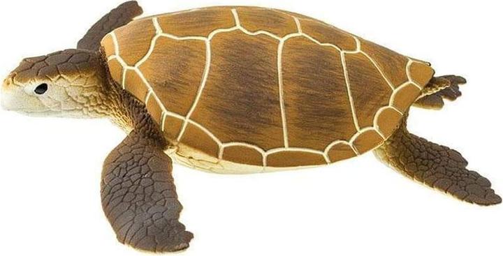 Image du produit Safari Tortue brune à soupe