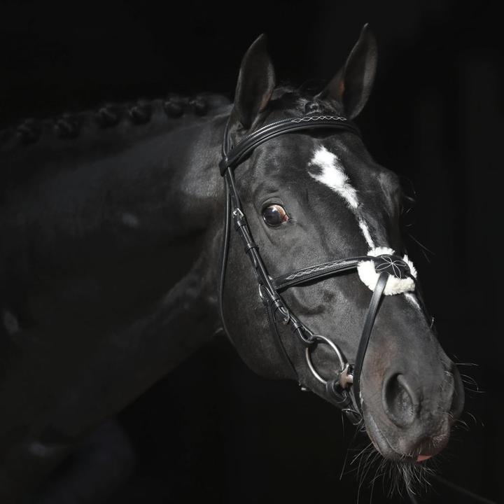 Actual product image Kerbl Snaffle bridle Cancun black, Cob