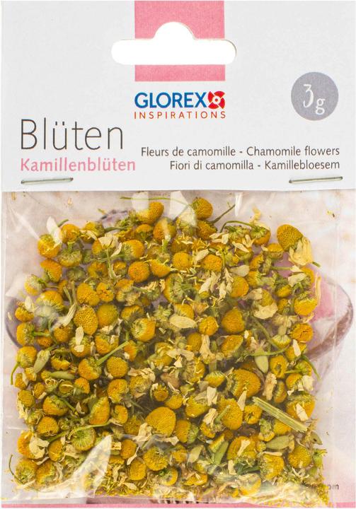 Image du produit Glorex Pétales de rose