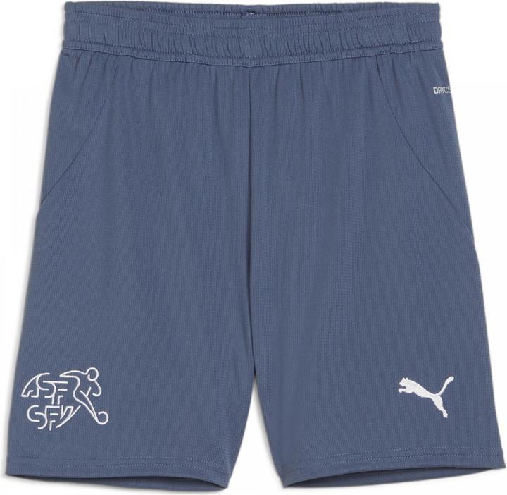 Actual product image Puma SFV Shorts Replica Jr (164)