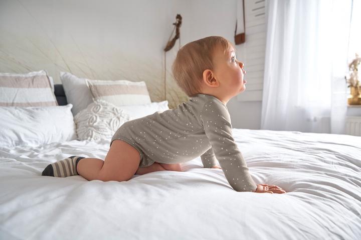 Image du produit Lässig Body manches longues Sprinkle Taupe T. 74/80 (80)