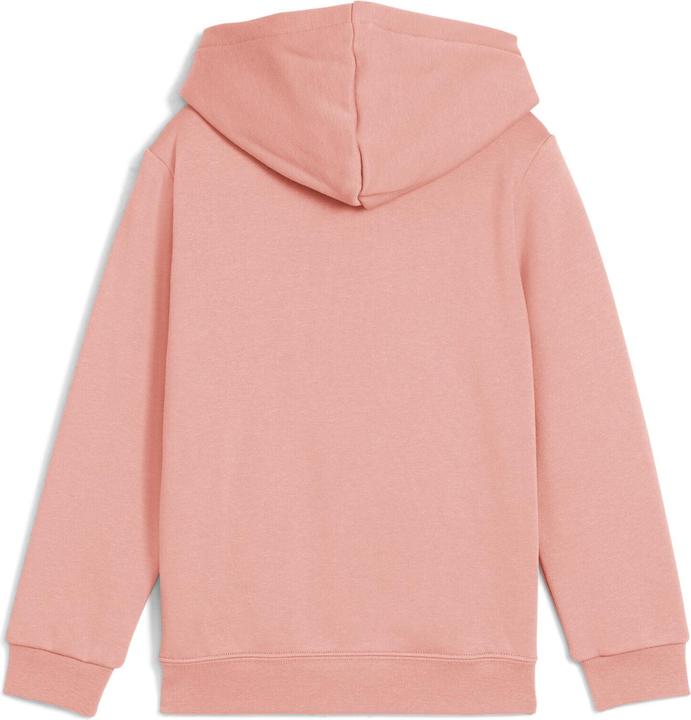 Image du produit Puma Sweat à capuche ESS No. 1 Logo FL PS (98)