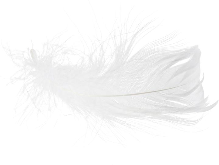 Image du produit VBS Plumes d'oie, 20 g