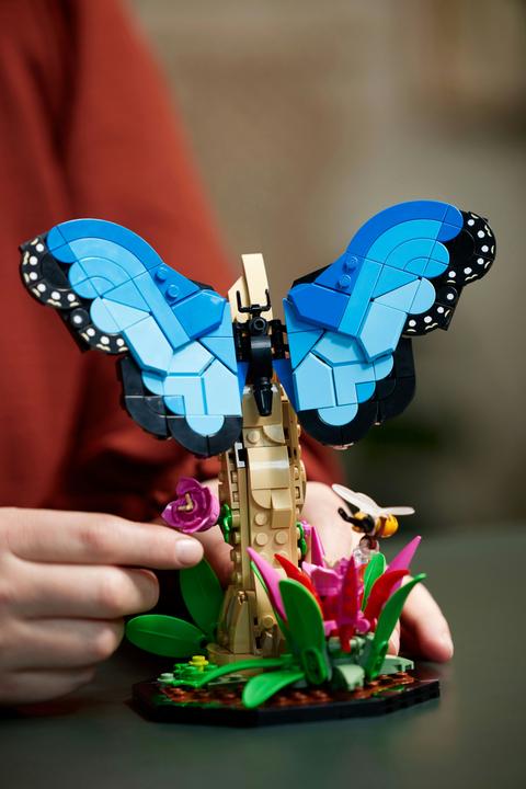 Immagine prodotto LEGO Idee La collezione di insetti (21342, LEGO Ideas)