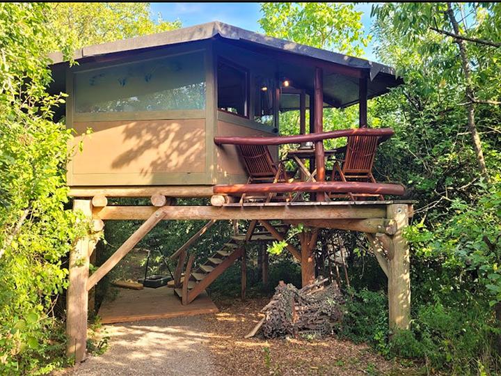Actual product image Smartbox Romantic short holiday with 2 nights in a tree house including sauna (2 pers.)